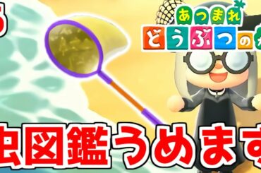 【あつまれどうぶつの森】博物館を完成させなきゃいけないんだよ！ 6【あつ森】