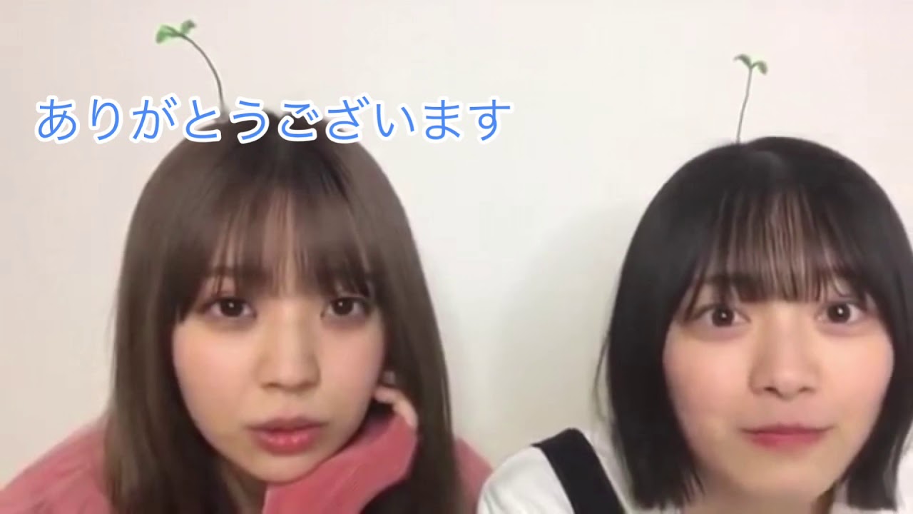 【欅坂46】どうぶつの森を走って買いにいく森田ひかる