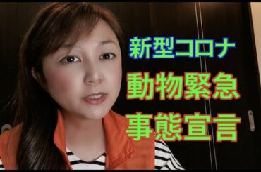 【新型コロナ】 緊急事態宣言発動！ペットは大切な家族だから『今』伝えたいこと【ロックダウン】