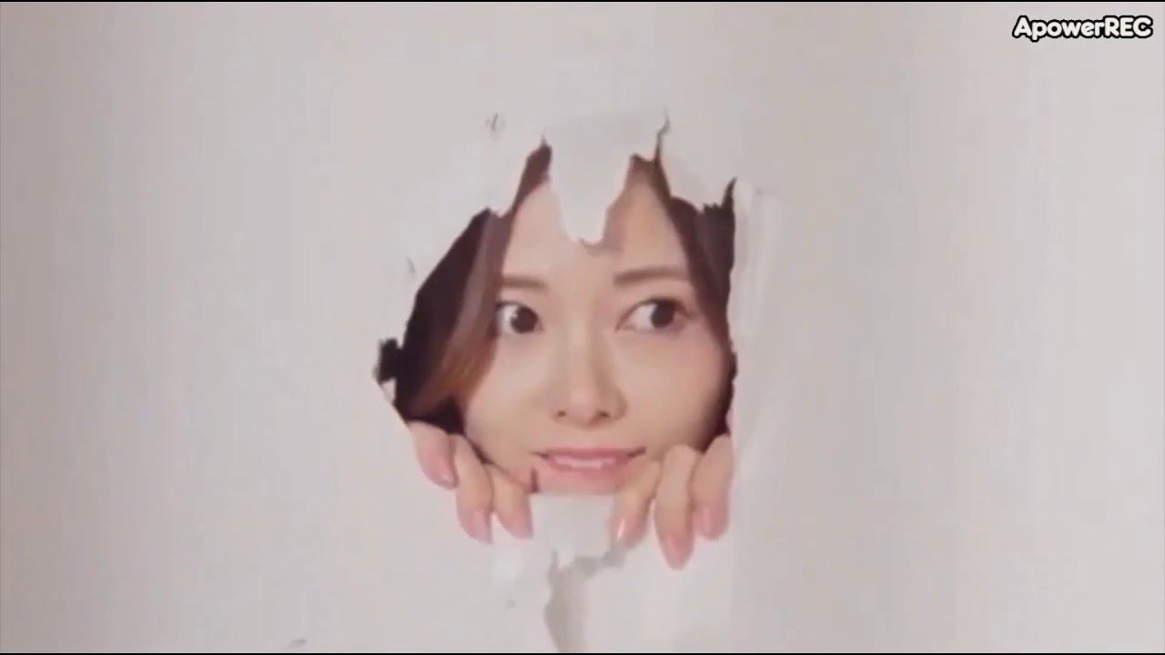 猫動画 まいにゃん まいやん 白石麻衣 Yayafa 猫動画 まいにゃん まいやん 白石麻衣 Yayafa