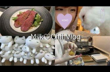 (ENG)Vlog一人暮らし営業女子の食べ物日記/猫/焼きうどん/テセウスの船/ニトリ/Food & Cat Vlog/Japanese