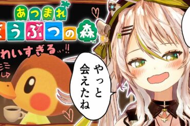 【あつまれどうぶつの森】カモミとカモミの生活がはじまるぞ！？絵描きがピザばら撒いた島気にいってくれるかな…？【鴨見カモミ／バーチャルアーティスト】