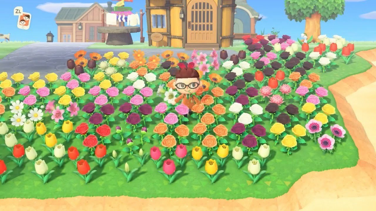 あつまれどうぶつの森 映える島作りするぞ！その２