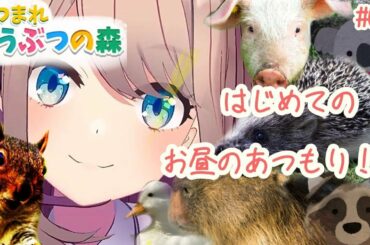 【あつまれどうぶつの森】どきっ！はじめての！お昼！！の森ｯ！！！【鈴原るる/にじさんじ】