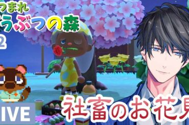 【あつまれ どうぶつの森】社畜の現実逃避 #2【カナメ生】