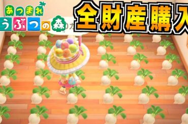【あつまれどうぶつの森】俺の運命はこのカブ達に託されました！！