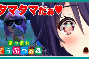 【あつまれどうぶつの森】イースターイベントでたまたま集める！たまこなんで！！ﾄﾞﾔｧ【たまこ/あおぎり高校 Vtuber High School】