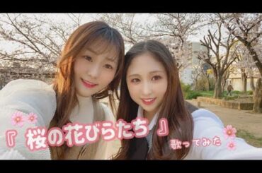 【歌ってみた】桜の花びらたち【AKB48】