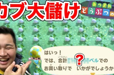 【どうぶつの森】超大量のカブ高額な島で全部売ったら〇〇〇〇〇〇〇ベルで爆儲け！？【カブ主総会】