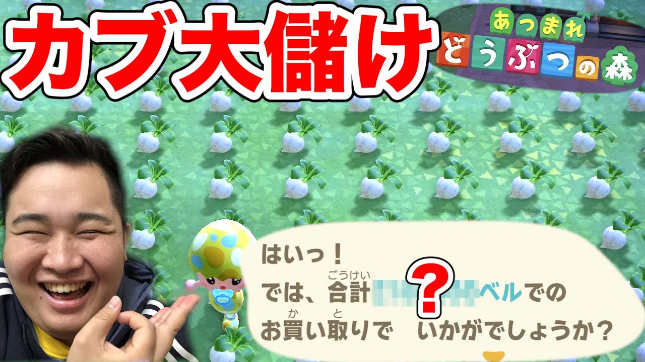 【どうぶつの森】超大量のカブ高額な島で全部売ったら〇〇〇〇〇〇〇ベルで爆儲け！？【カブ主総会】