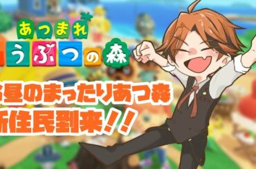 【あつまれどうぶつの森】まったり、あつ森。【ホロスターズ/夕刻ロベル】