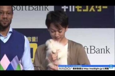 【佐藤健  砂糖  】猩猩 猫猫 狗狗 小鸡？ 与动物们的互动 Cut
