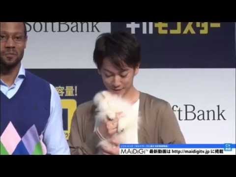 【佐藤健 砂糖 】猩猩 猫猫 狗狗 小鸡? 与动物们的互动 Cut 【佐藤健 砂糖 】猩猩 猫猫 狗狗 小鸡? 与动物们的互动 Cut