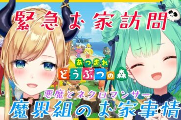 【あるまれどうぶつの森】緊急家庭訪問？！るしあ様のお家に突撃してみたら？！【ホロライブ/癒月ちょこ/潤羽るしあ】