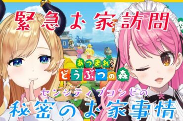 【あつまれどうぶつの森】緊急家庭訪問？！健全コンビのお宅訪問はいかに？！【ホロライブ/癒月ちょこ/愛園愛美/にじさんじ】