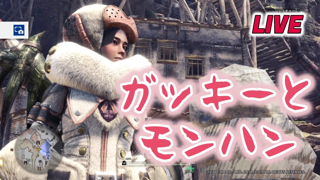 #02【VS.レイギエナ】33歳独身男性、新垣結衣とはじめてのモンハンワールド【LIVE ARCHIVE】 #02【VS.レイギエナ】33歳独身男性、新垣結衣とはじめてのモンハンワールド【LIVE ARCHIVE】