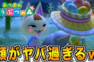 【あつまれどうぶつの森】カワイイ女ネコかと思ったらメンヘラ地雷女子でしたww