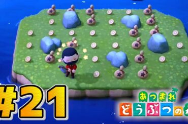 【新作】レアな島発見！ベル岩島！【あつまれどうぶつの森】21日目