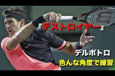 【テニス】最強『デストロイヤー』！！デルポトロの練習を色んな角度で見る動画【デルポトロ】