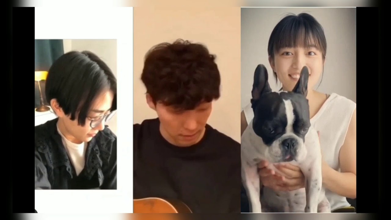 高畑充希×星野源×川口春奈 - うちで踊ろう 【Dancing On The Inside】