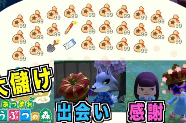 【あつまれどうぶつの森】カブで200万ベルの大儲け！！念願のシベリアも住民に！！