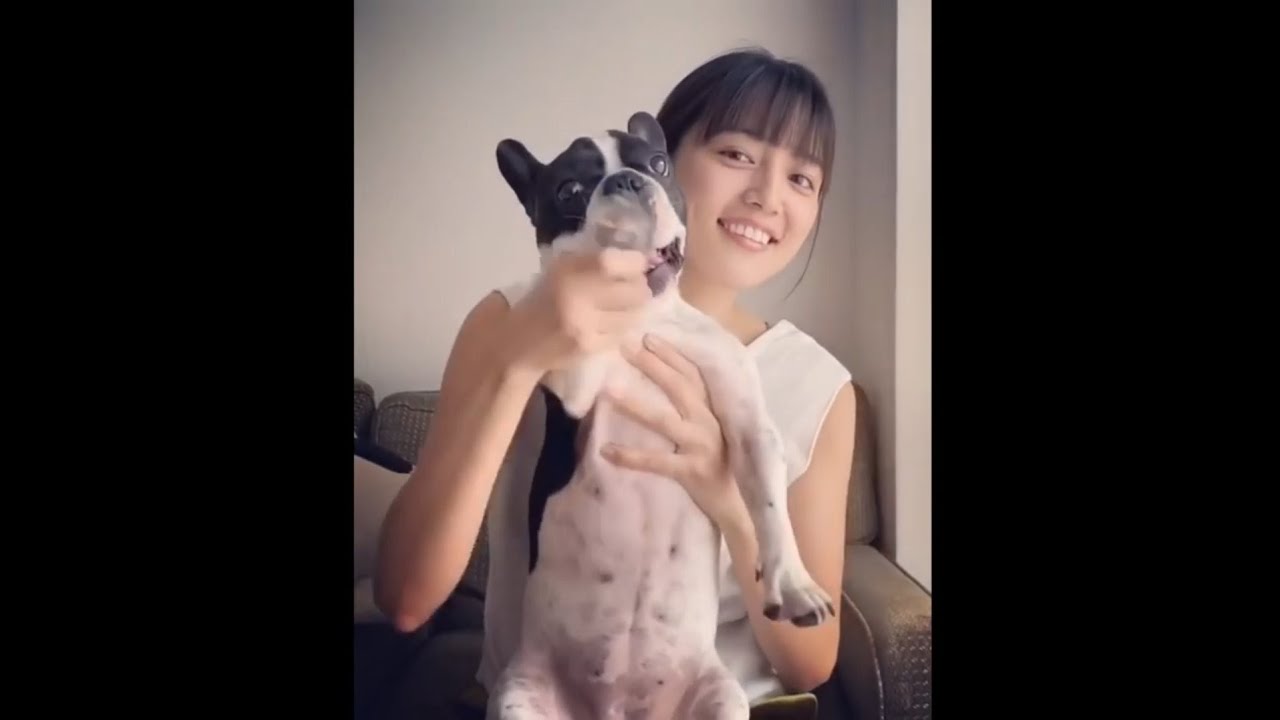 星野源×川口春奈×アムちゃん