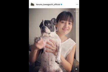 【完全保存版】川口春奈&星野源　うちで踊ろう