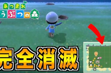 【あつまれどうぶつの森】崖も木も花も何もない更地が出来上がりました
