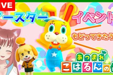 🎀【あつまれどうぶつの森】うさぎが戻ってきた　イースターイベント　あつ森 💖 こはるん実況 🚋 【HD/LIVE】Switch