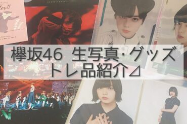 《欅坂46》生写真50枚以上!! トレ品紹介( ¨̮ )︎︎♡