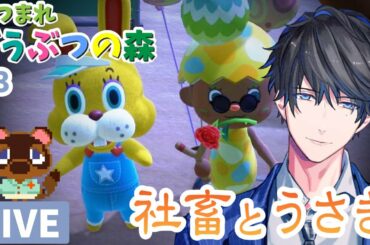 【あつまれ どうぶつの森】社畜の現実逃避 #3【カナメ生】