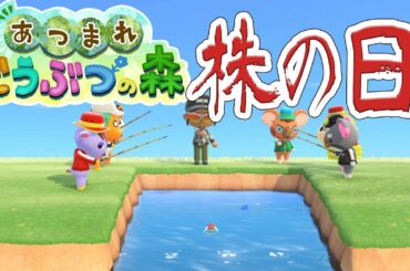 【あつまれどうぶつの森】1200万ベルをすべてカブにしよう【ベルモンド・バンデラス/にじさんじ】