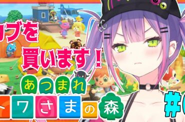【あつまれどうぶつの森】カブ買ってあとは住民を増やしたい！【#常闇トワ/ホロライブ】