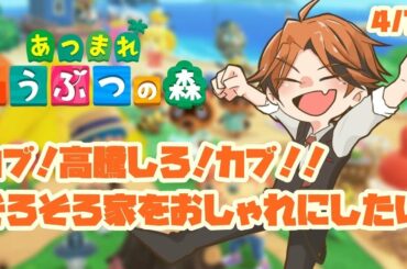 【あつまれどうぶつの森】改築！増築！！カブ！！【ホロスターズ/夕刻ロベル】