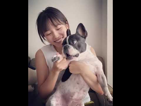 【うちで踊ろう】星野源 x 川口春奈