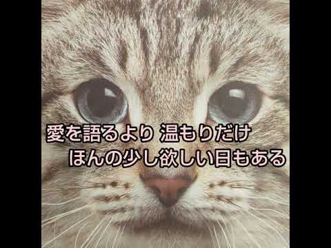 i believe 華原朋美 cober i believe 華原朋美 cober