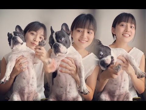 宅家和汪星人欢乐的川口春奈~