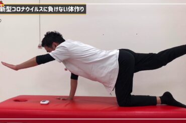 【新型コロナウイルス予防エクササイズ】１日３０秒で新型コロナを予防！Vol.10【エクササイズ 腸腰筋 ハムストリングス】