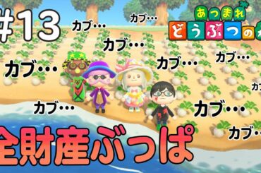１３日目 「カブに命をかける男」【あつまれ どうぶつの森】