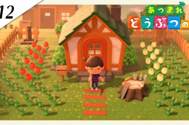 『あつまれ どうぶつの森』実況プレイ #12