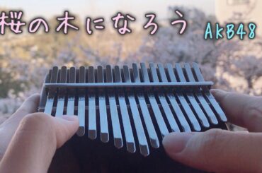 【Kalimba Music】AKB48 桜の木になろうをカリンバ で弾いてみた/Sakura no ki ni narou