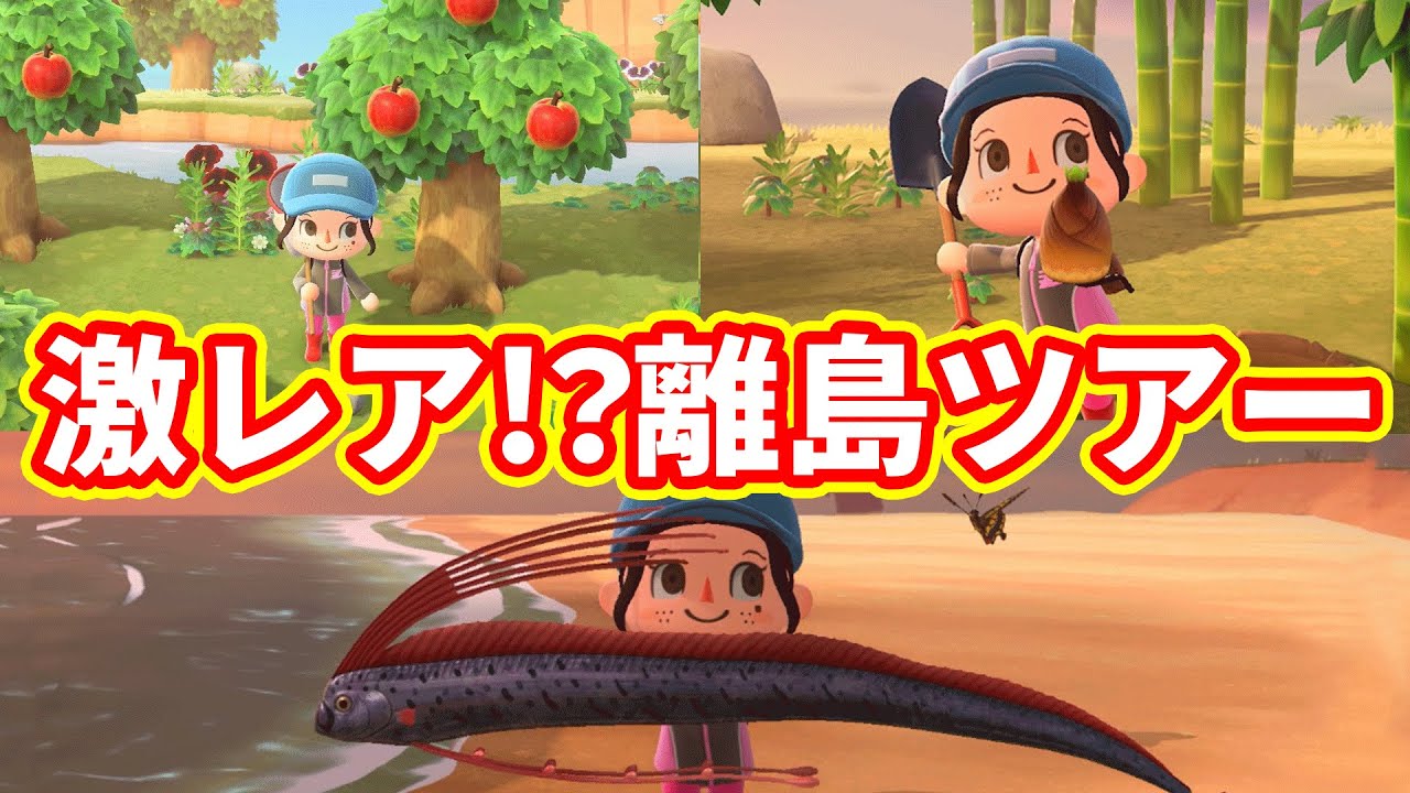 【あつまれ どうぶつの森】神回！？離島ツアーでレア魚釣り上げたァァァ！！！！！【あつ森】#4