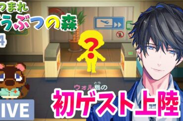 【あつまれ どうぶつの森】社畜の現実逃避 #4【カナメ生】