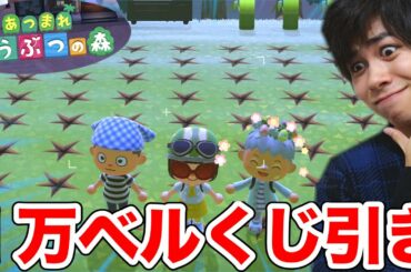 【どうぶつの森】ンダホ考案１回１００００ベルの宝さがしやってみたら何が出る？【カブ主総会】