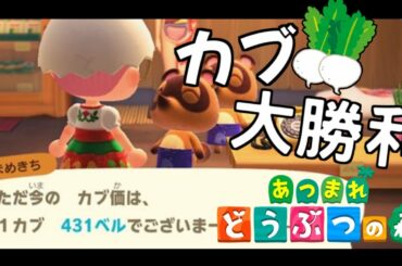 📌【あつまれどうぶつの森】１カブ431円の島はこちらです