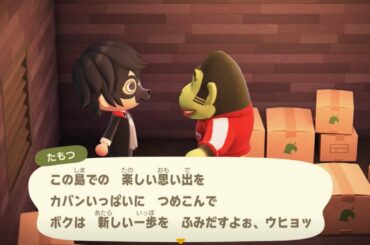 【生放送ログ】あつまれ どうぶつの森　しながら雑談その17「緊急放送!! さよならたもつ」