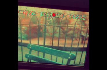 椎名林檎 ギブス シューゲイザー