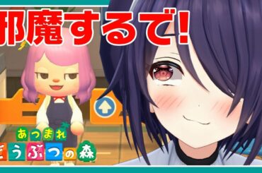 【あつまれどうぶつの森】みんなの島お邪魔するだなも【たまこ/あおぎり高校 Vtuber High School】