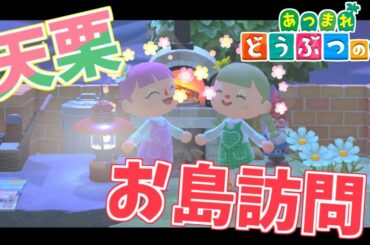 📌【あつまれどうぶつの森】みんなの島に遊びに行くぞー！ #天栗