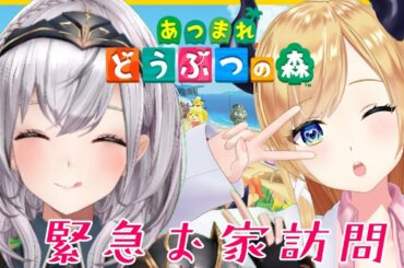 【あつまれどうぶつの森】団長のお家に悪魔の保健医が家庭訪問？！【ホロライブ/白銀ノエル/癒月ちょこ】